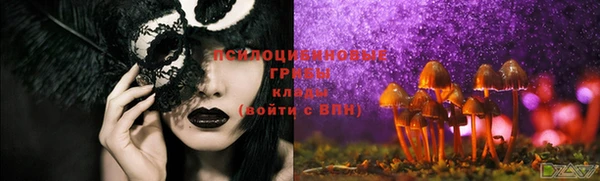 гашиш Беломорск