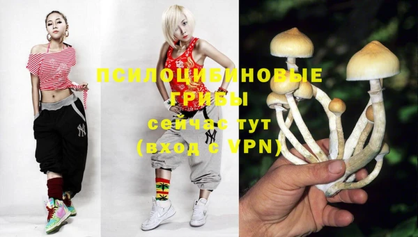 таблы Белокуриха