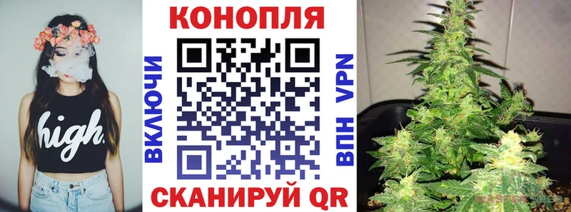 Конопля индика  Калуга 